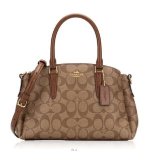 COACH Mini Sage Carryall – Outlet