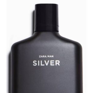 ZARA Man Silver